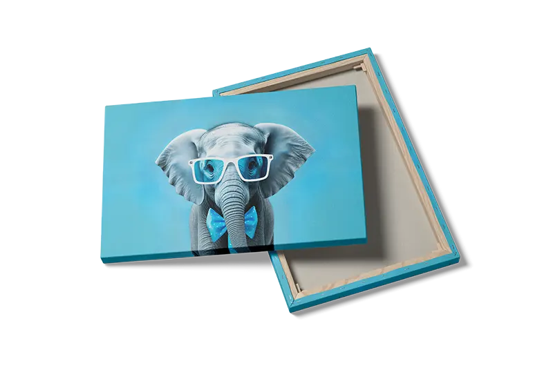 Elephant With Plakat