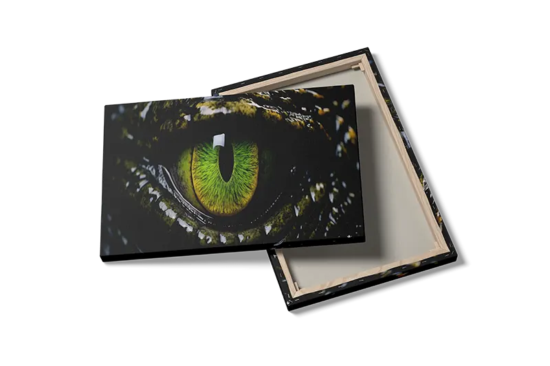 Crocodile Eye Closeup Plakat