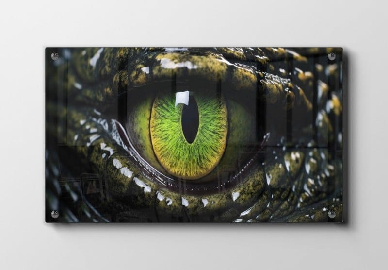 Crocodile Eye Closeup Plakat