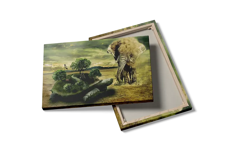 African Elephant And Tortoise Plakat
