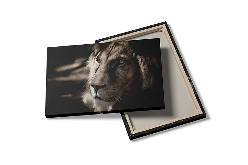 Lion Portrait I Plakat