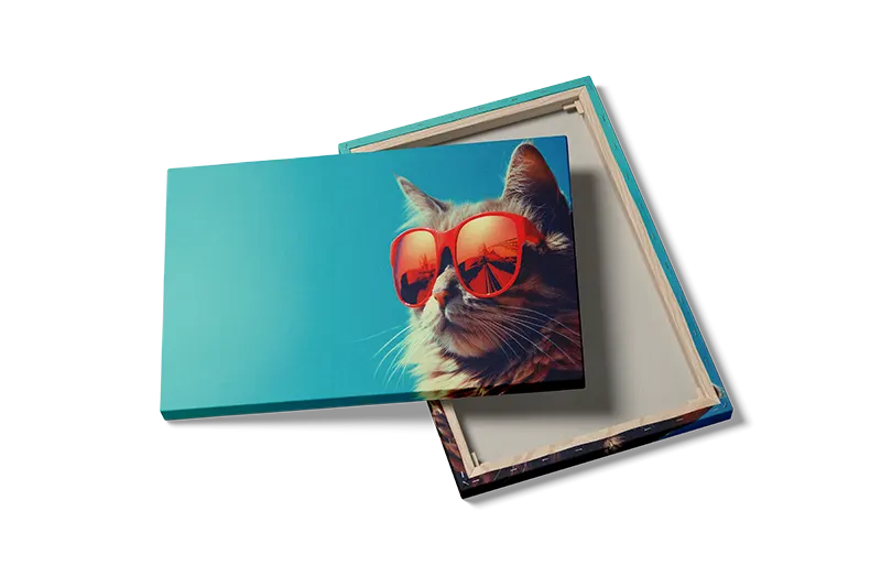 Cat With Sunglasses Plakat