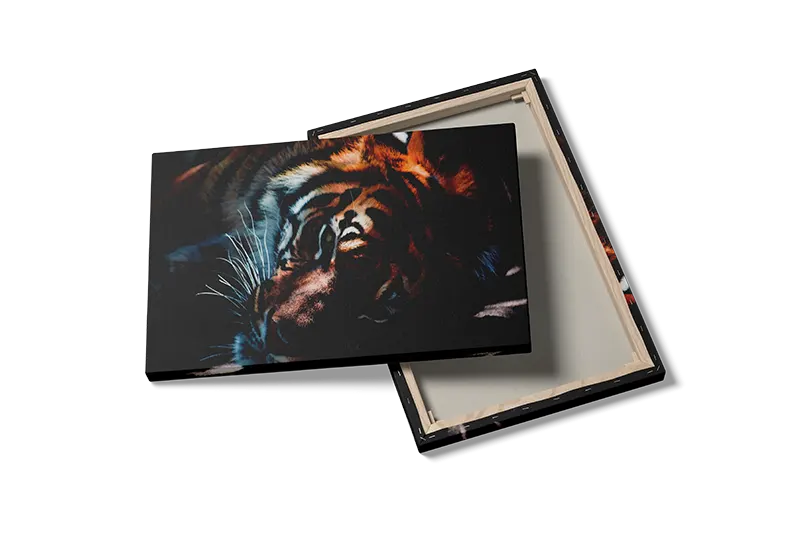 Resting Tiger I Plakat