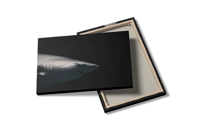 Shark Plakat