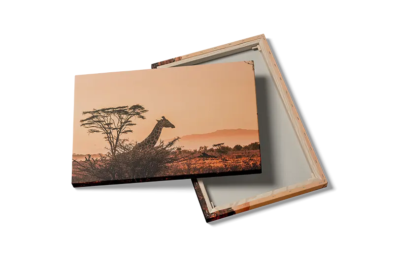 Giraffe Sunset Plakat
