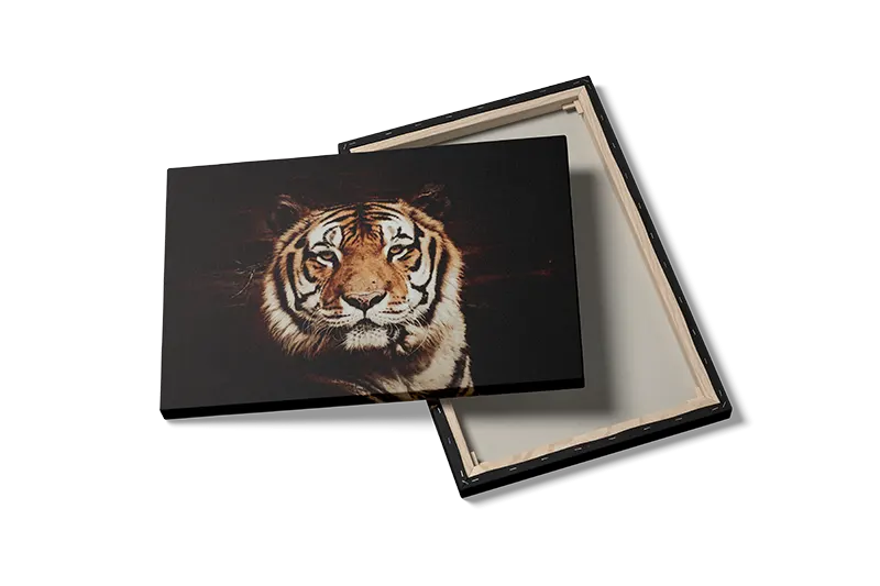 Tiger Close Up No2 Plakat
