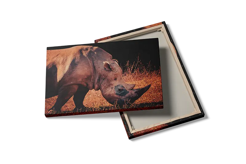 White Rhinoceros Side View Plakat