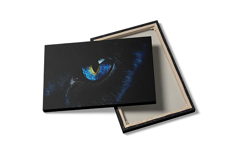 Black Panther Eye Plakat