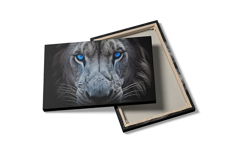 White Lion Closeup Plakat