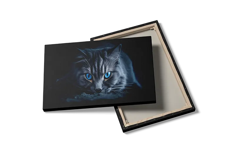 Cat Blue Plakat