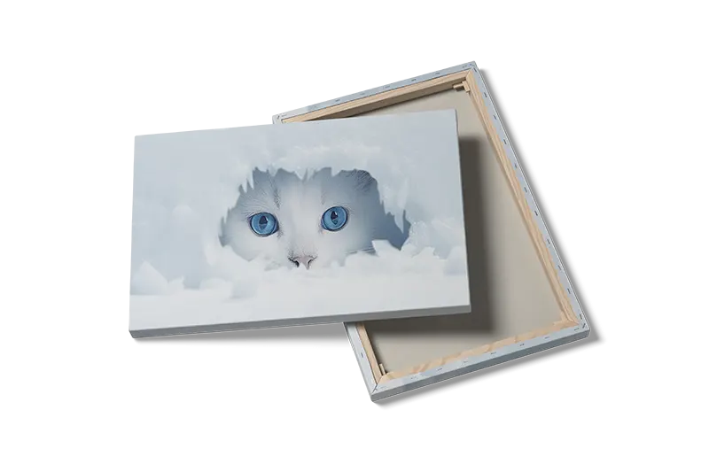 White Cat No2 Plakat