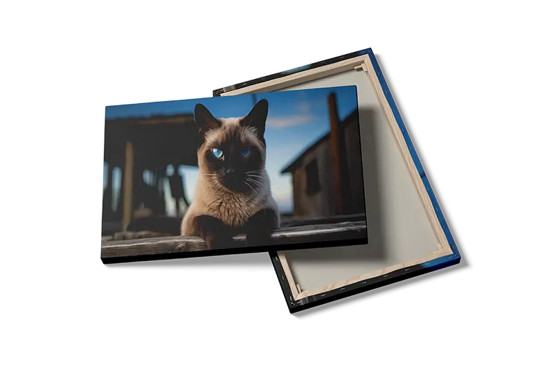 Siamese Cat Plakat