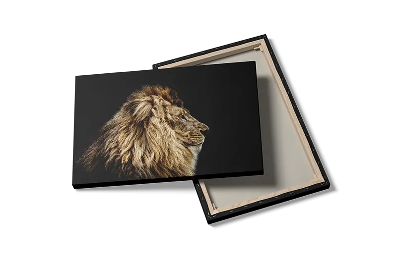 Lion Profile Black Plakat
