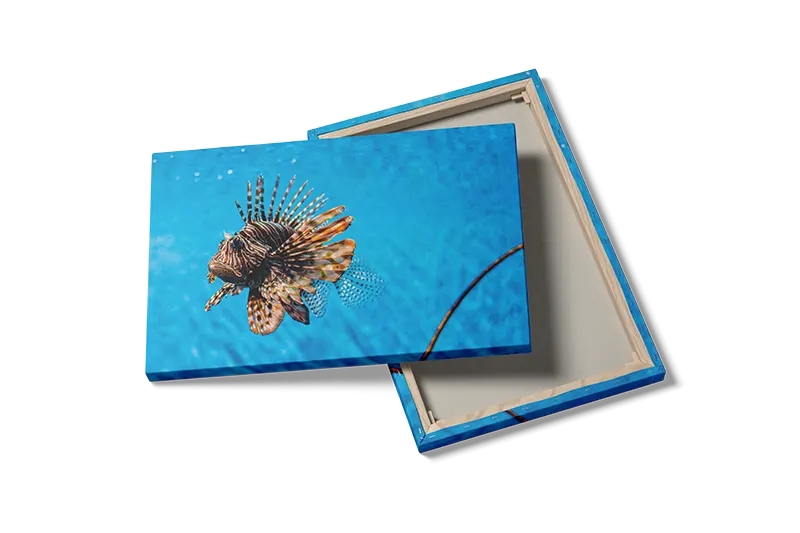 Lionfish Plakat