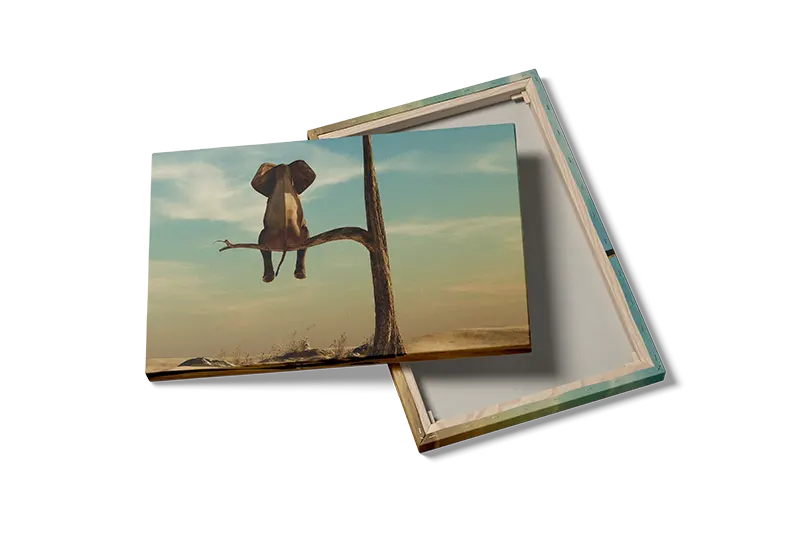 Elephant Sitting Plakat