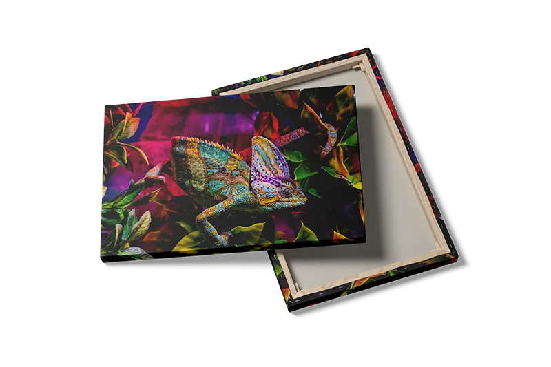 Ko Veiled Chameleon Plakat