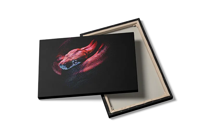 Python Snake Dark Plakat