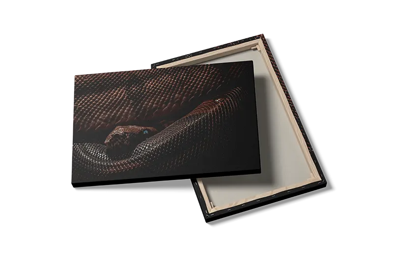 Python Snake Plakat