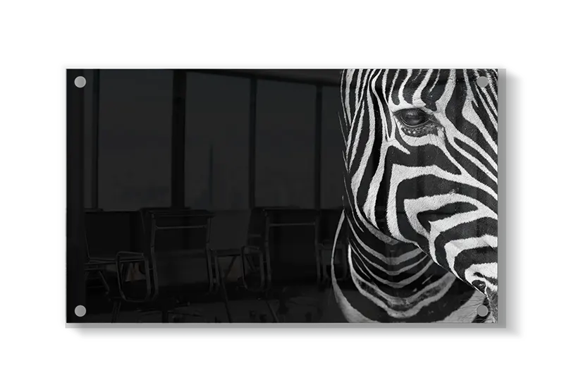 Zebra Portræt i Sort