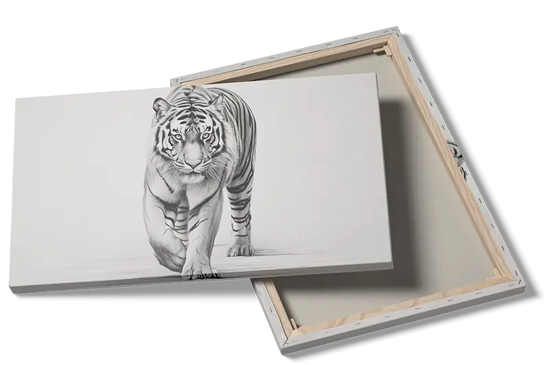 Hvid Tiger i Bevægelse