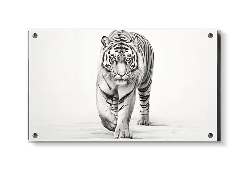 Hvid Tiger i Bevægelse