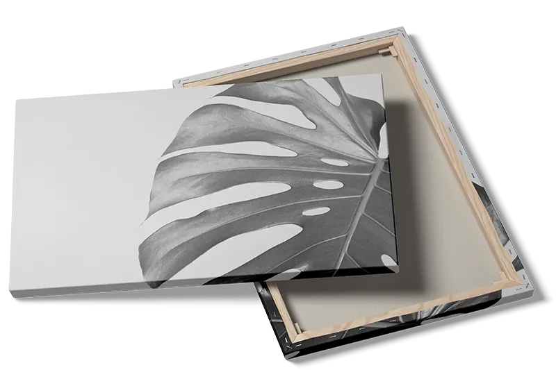 Monstera Blad i Gråtoner