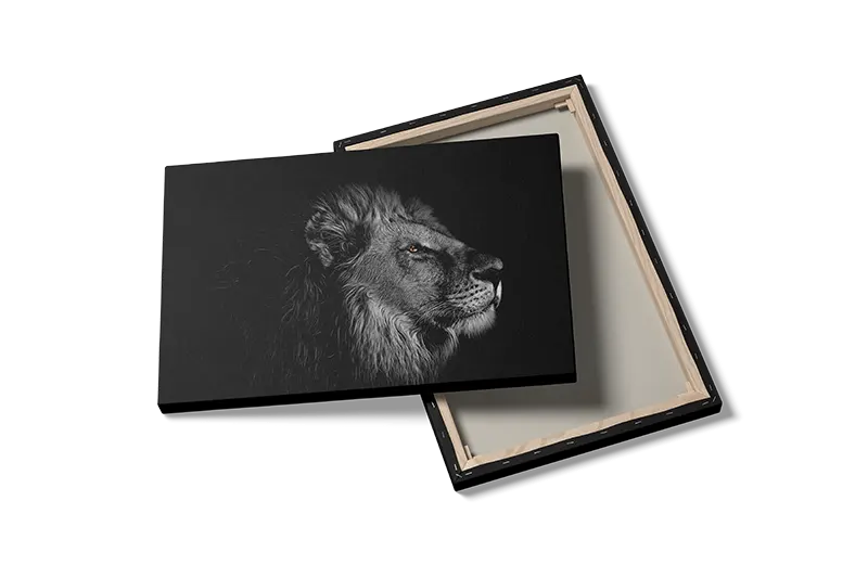 Lion Portrait Plakat