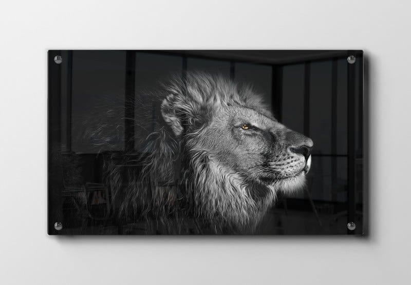 Lion Portrait Plakat