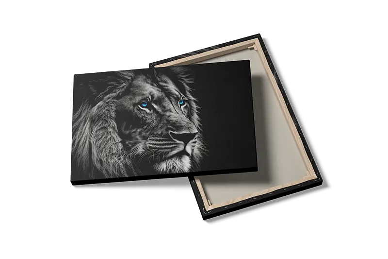 Lion With Plakat
