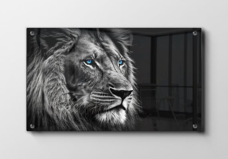 Lion With Plakat