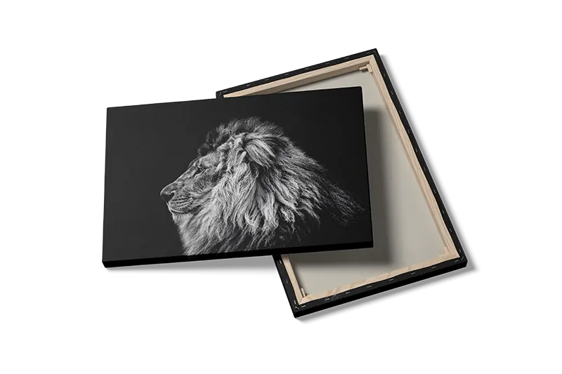 Lion Profile Plakat