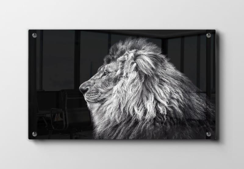 Lion Profile Plakat