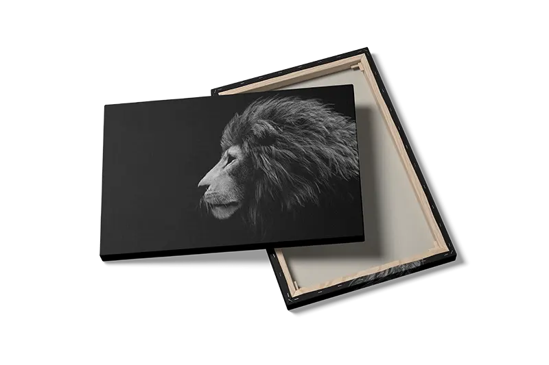 Lion Side Profile Plakat