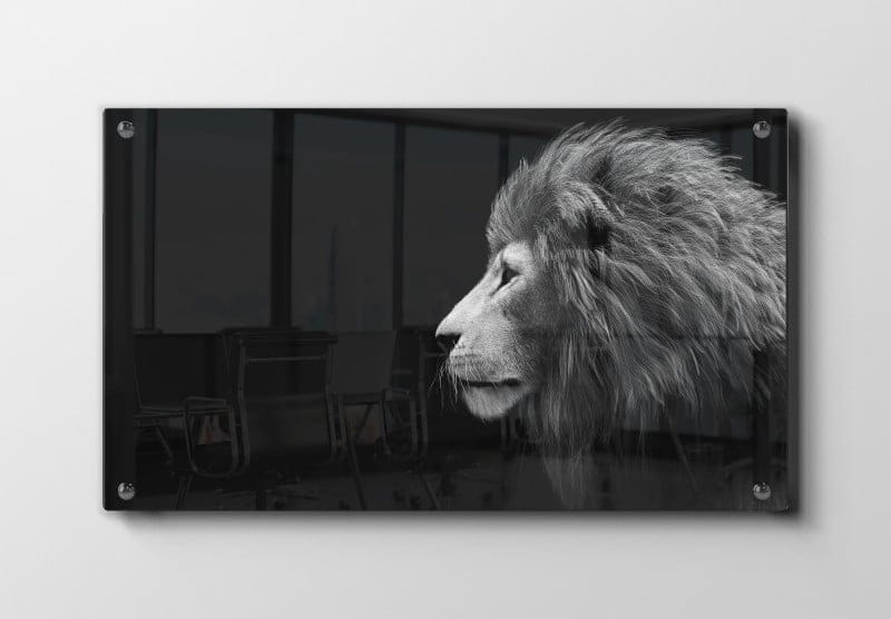 Lion Side Profile Plakat
