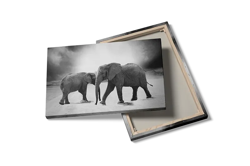Elephant Desert Walk Plakat