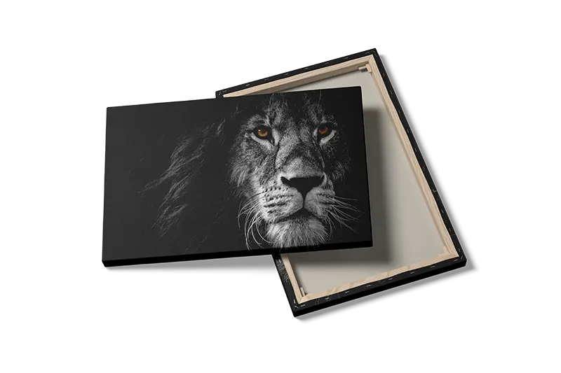 Lion Face Plakat
