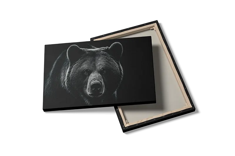 Grizzly Bear Plakat