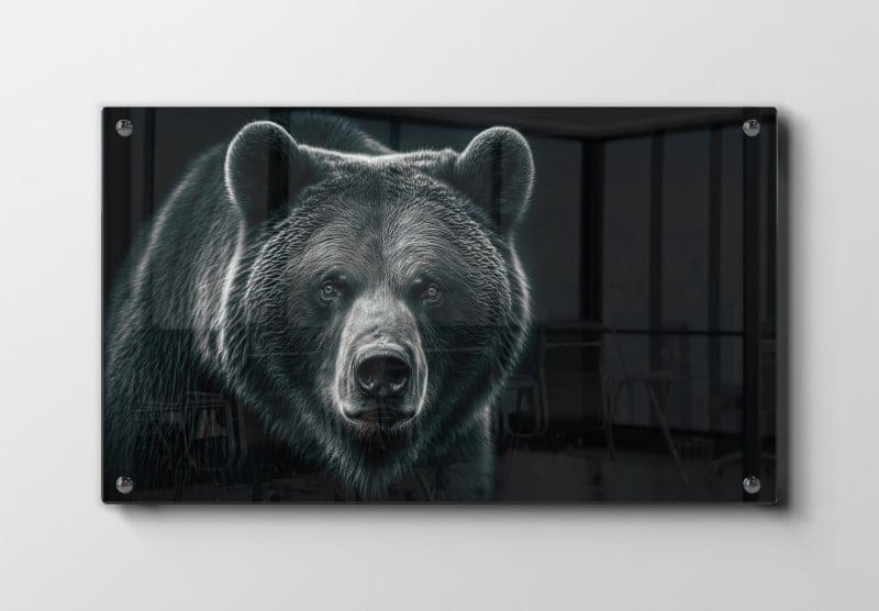 Grizzly Bear Plakat