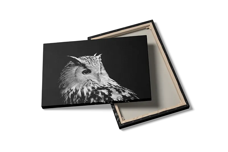 Eagle Owl Plakat