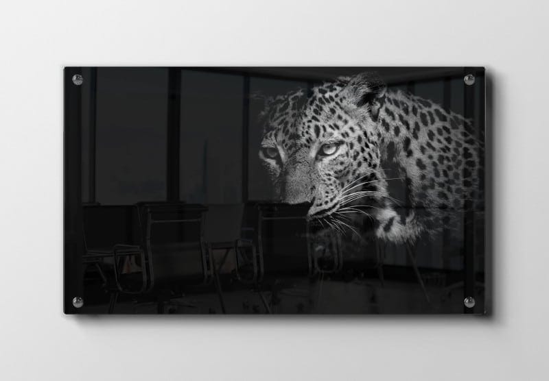 Leopard Plakat