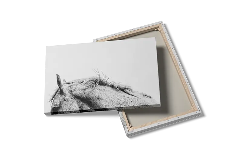 Speckled Horse Plakat