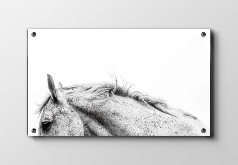 Speckled Horse Plakat