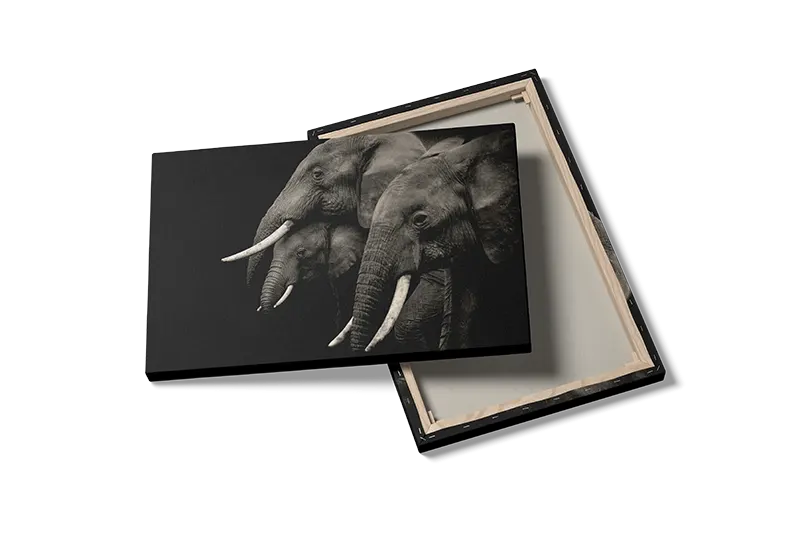 Elephant Family Plakat