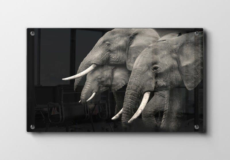 Elephant Family Plakat