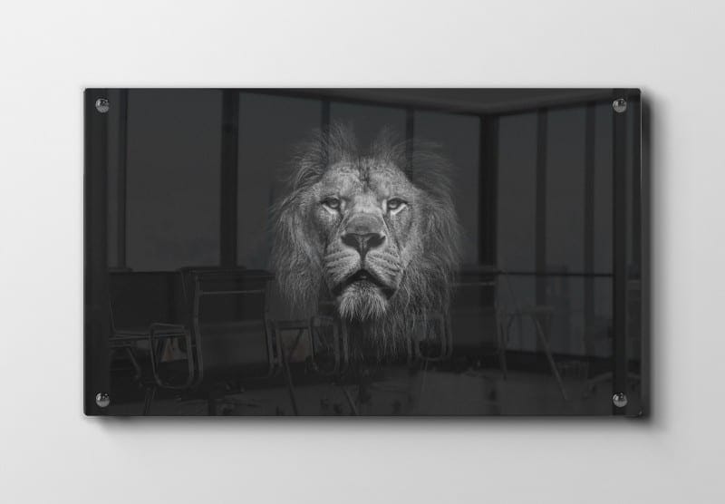 Lion Head Closeup Plakat