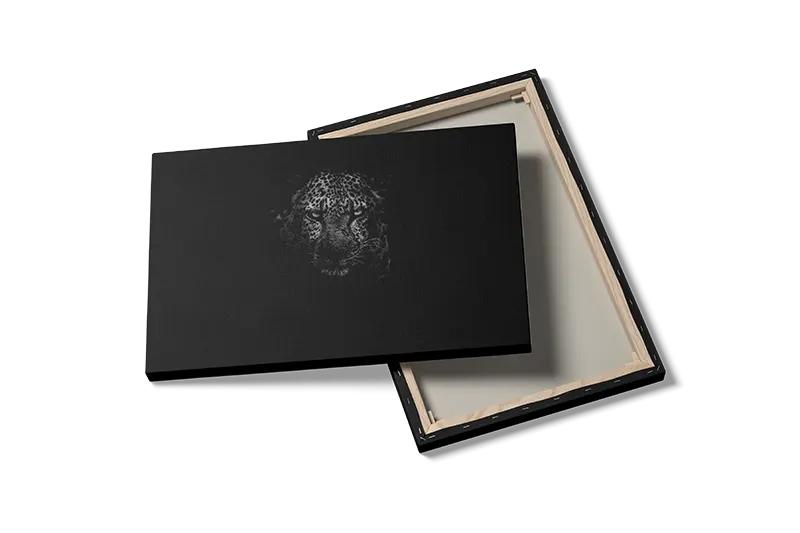 Leopard In Darkness Plakat