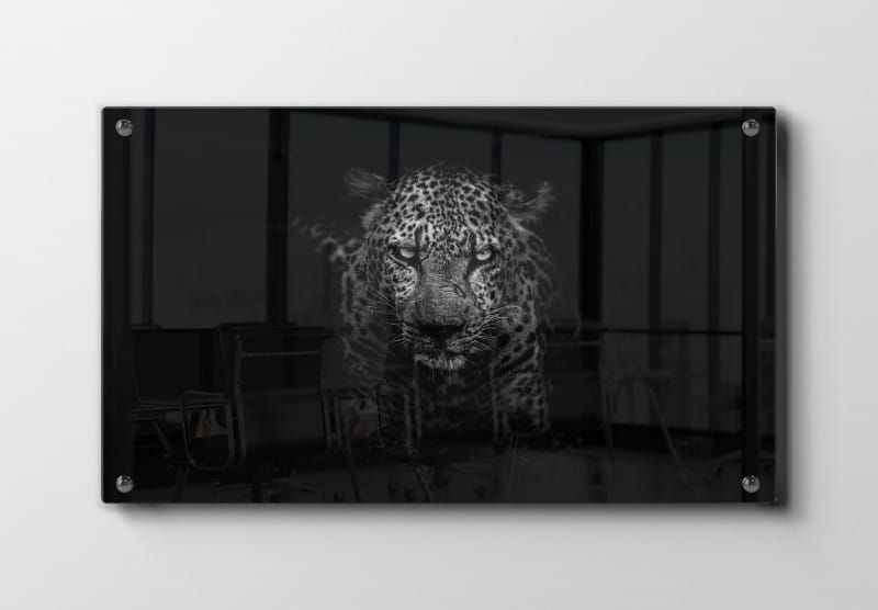 Leopard In Darkness Plakat