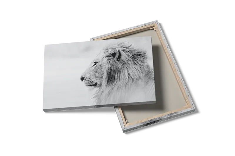 White Lion Plakat