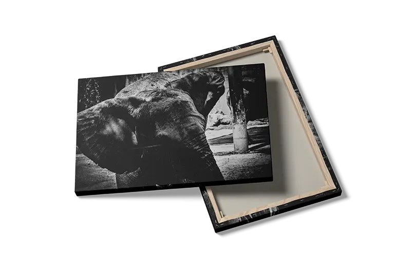 Elephant Muddy Portrait Plakat