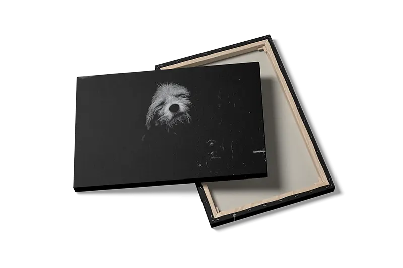 Scruffy Dog Plakat
